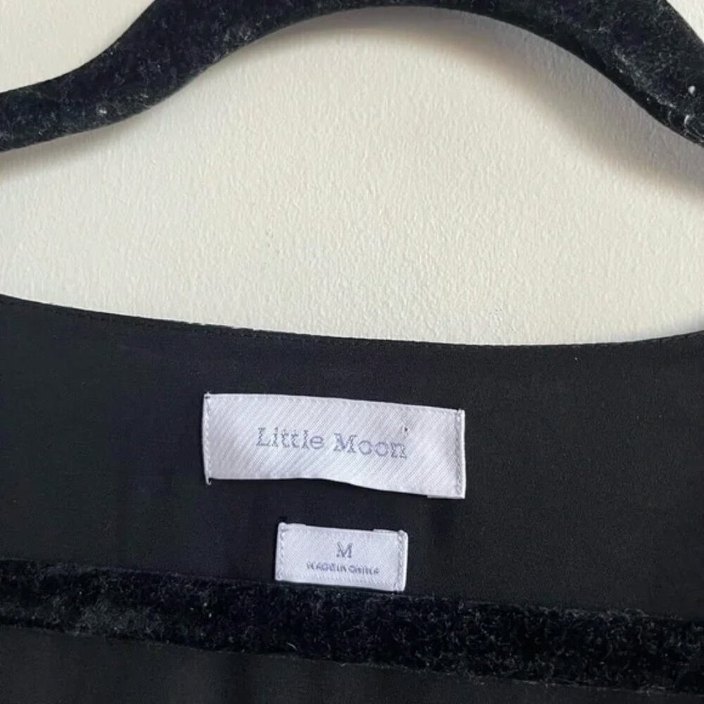 Aritzia Little Moon Tessa Dress - Picture 9 of 11